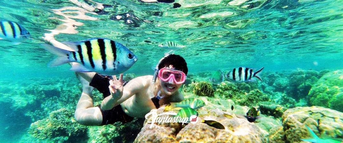 wisata-pulau-harapan-paket-wisata-open-trip-private-trip-one-day-trip-pulau-harapan