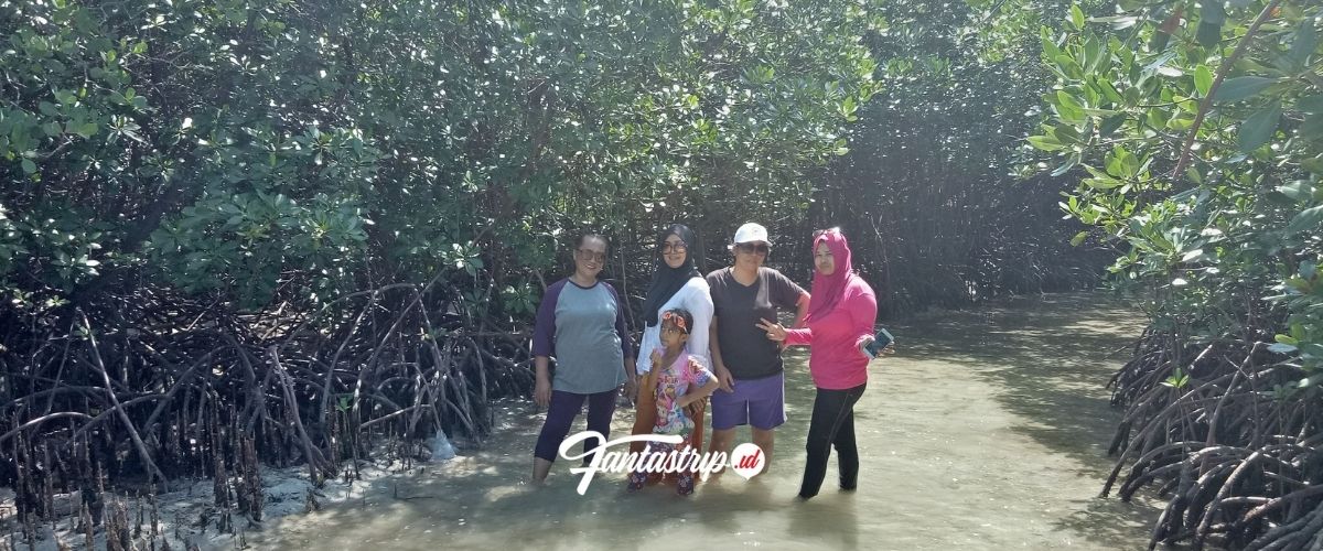 wisata-pulau-pari-paket-wisata-open-trip-private-trip-one-day-trip-pulau-pari-pulau-seribu