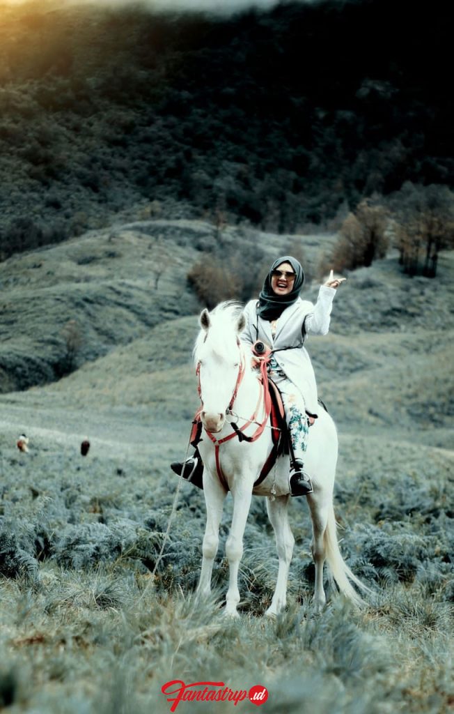 Wisata Gunung Bromo Damri Surabaya 2021 Setiap Weekend ...