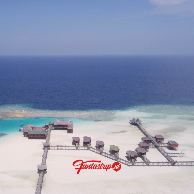 paket-wisata-private-trip-open-trip-pulau-derawan