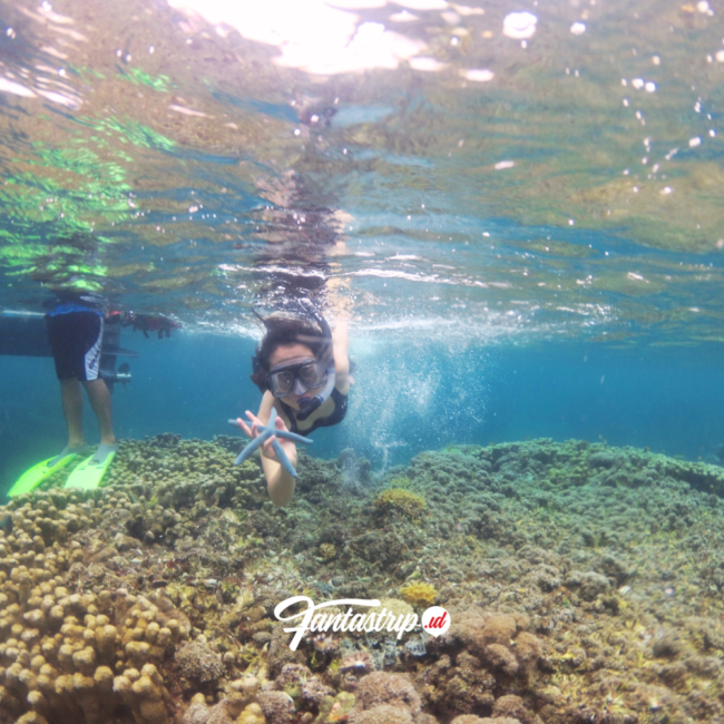 paket-wisata-open-trip-private-trip-pulau-derawan