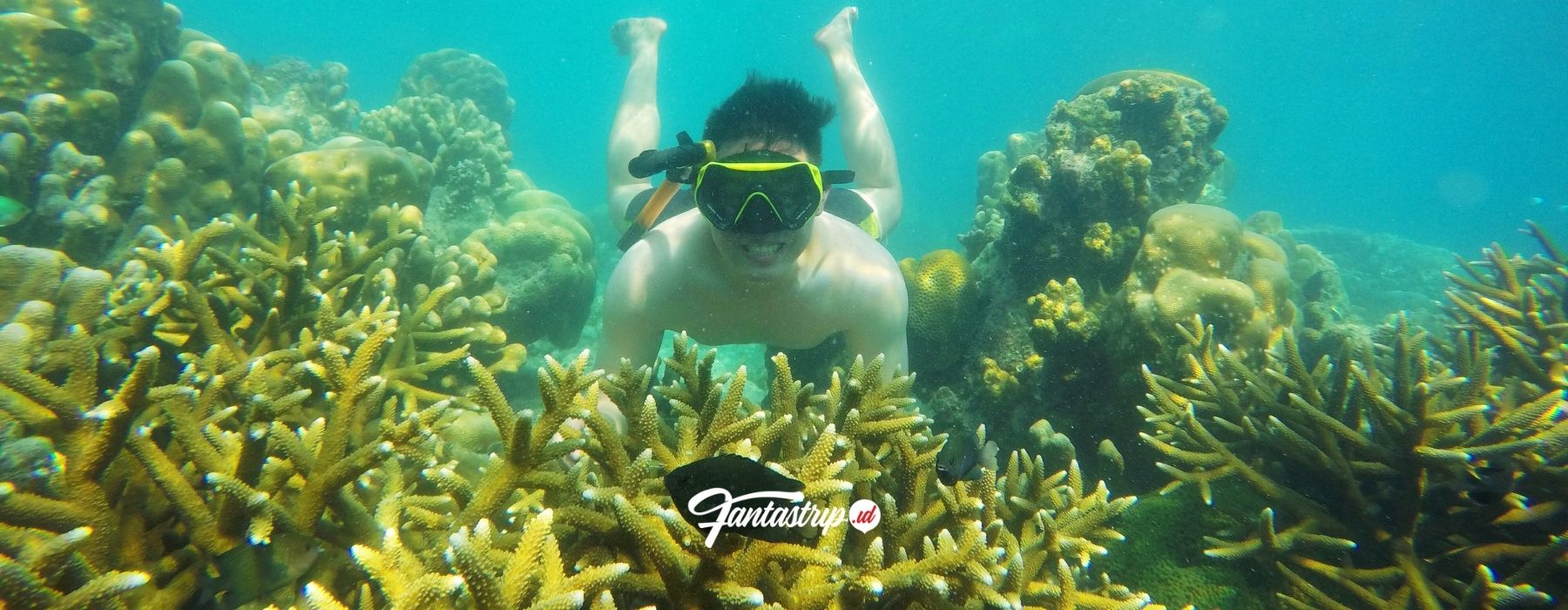 wisata-pulau-harapan-paket-wisata-open-trip-private-trip-one-day-trip-pulau-harapan