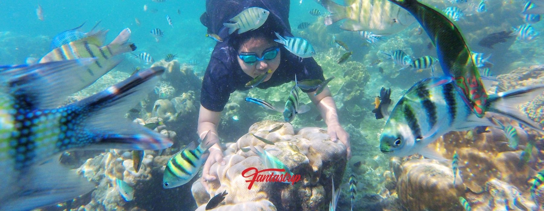 wisata-pulau-harapan-paket-wisata-open-trip-private-trip-one-day-trip-pulau-harapan