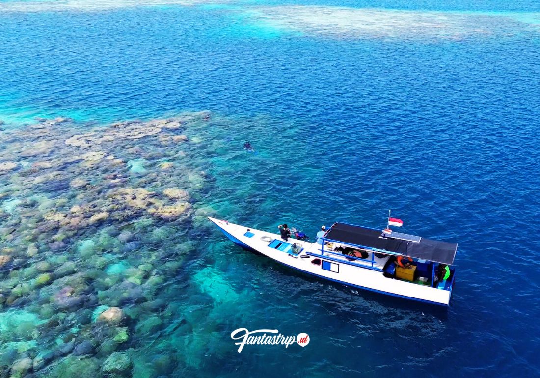 paket-wisata-pulau-karimunjawa