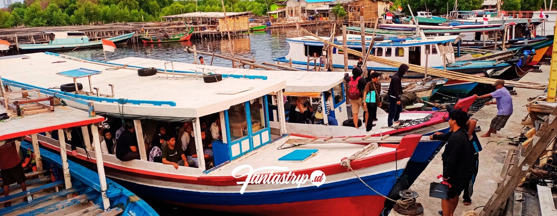 wisata-pulau-pari-wisata-open-trip-private-trip-one-day-trip-pulau-pari-pulau-seribu