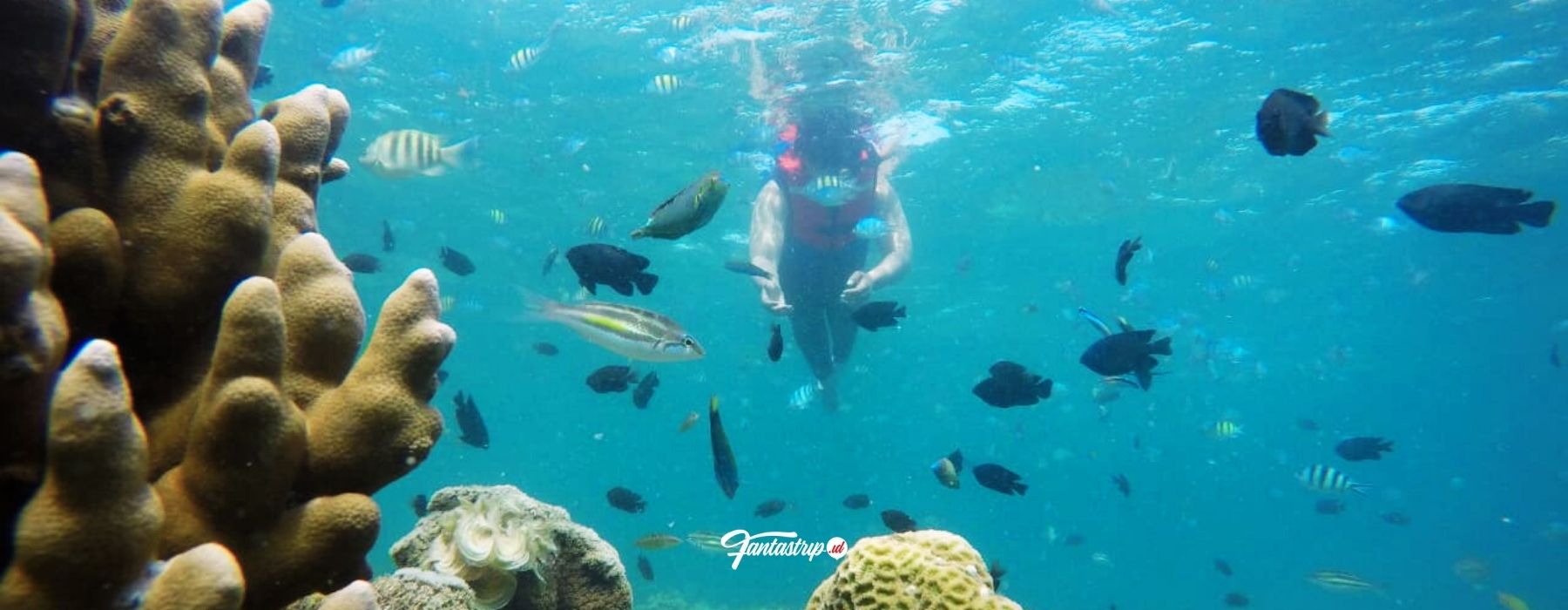 wisata-pulau-tidung-paket-wisata-open-trip-private-trip-one-day-trip-pulau-tidung-pulau-seribu